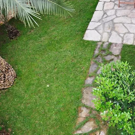 For Rent In וילה *